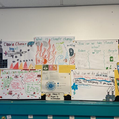 School success with STATWARS: Climate Change Challenge in 2024-25