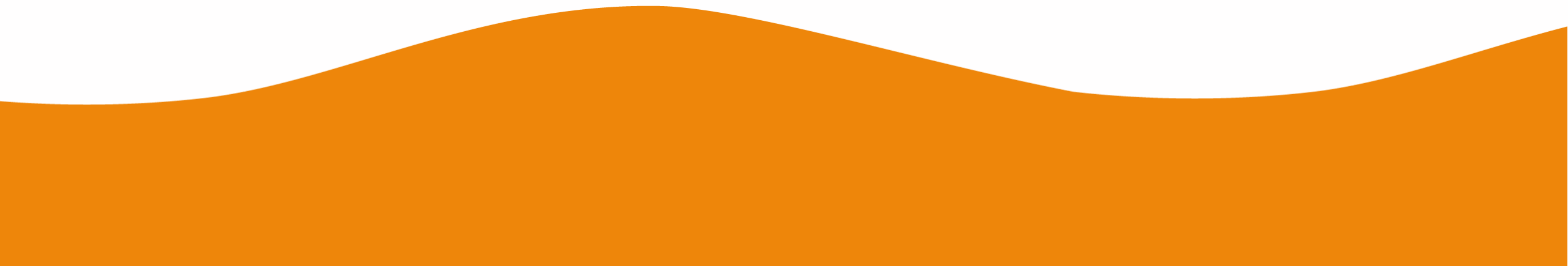 ESitC-page-top-orange-wave Image